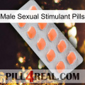 Male Sexual Stimulant Pills 26